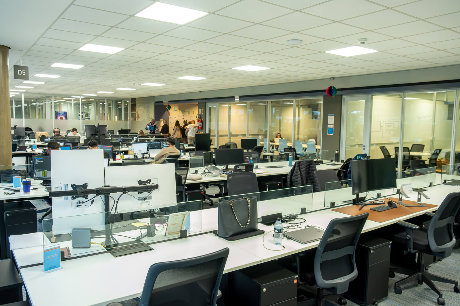 Startups e times trabalhando no coworking do Impact Hub Floripa
