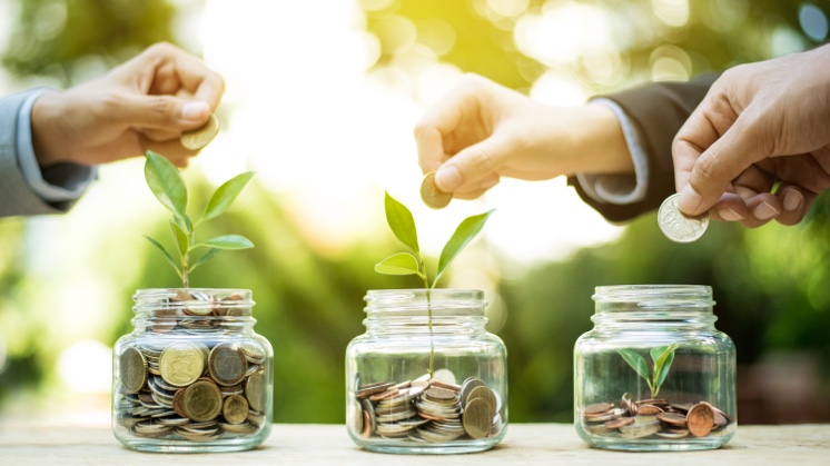 Financiamento climático: como mobilizar trilhões em investimentos sociais e ambientais